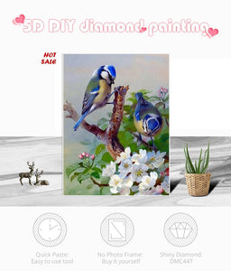 Beautiful Birds DIY Diamond Painting Kit