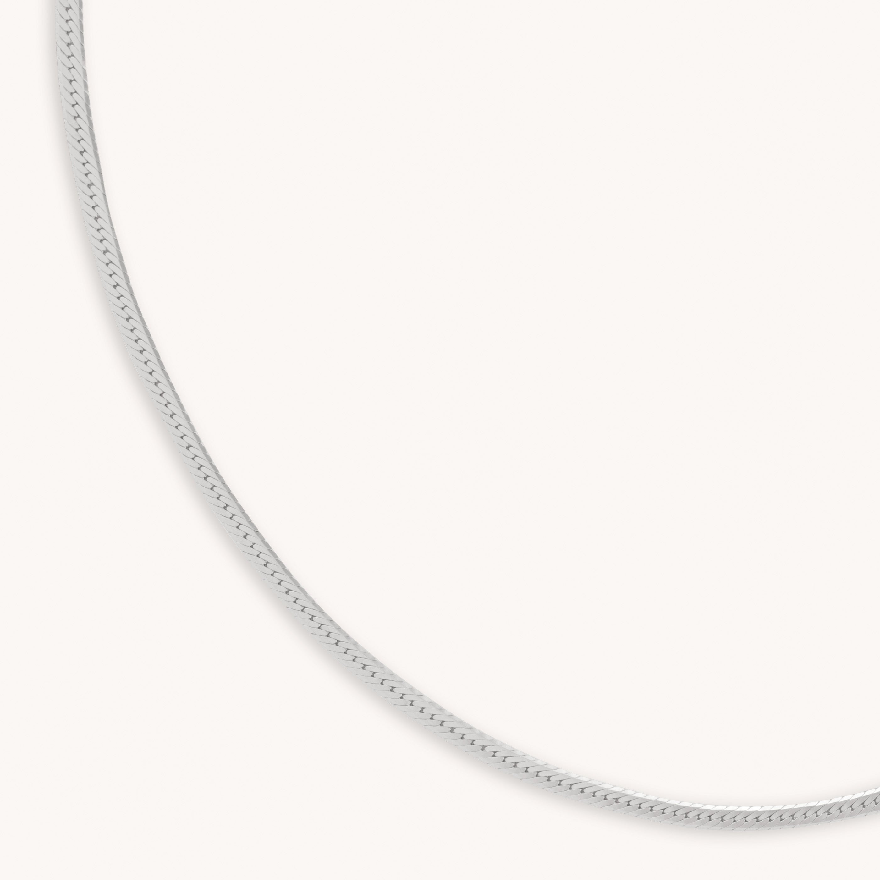 Astrid &amp; Miyu Snake Chain Necklace In Silver In Metallic