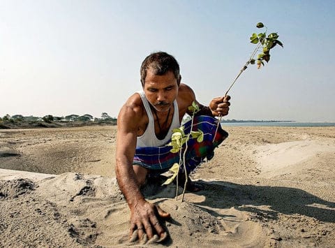 Man Turned Desert Into Forest