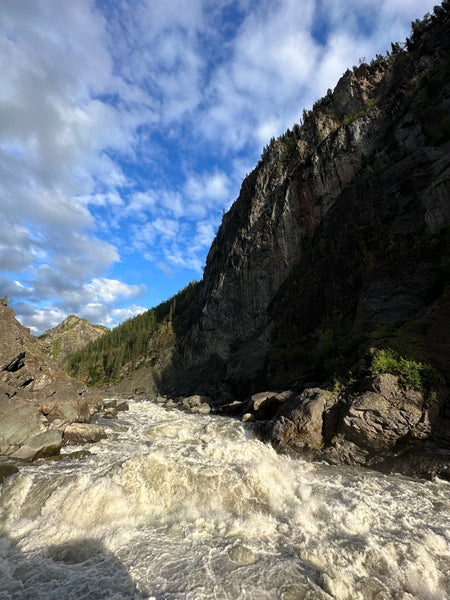 Infamous Site Zed Rapid and proposed Damn Location on the Stikine River.