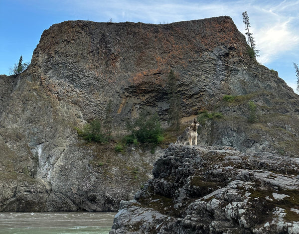 Rock formation and dog, with an eagle impression in the rock wall.