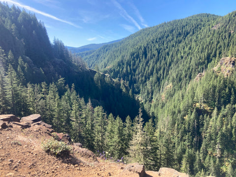 Landscape shot of the hike to the top of the Salmon River Gorge.