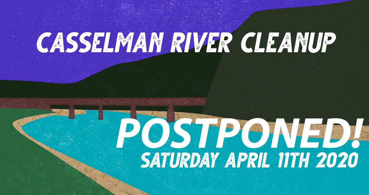 Casselman River Cleanup