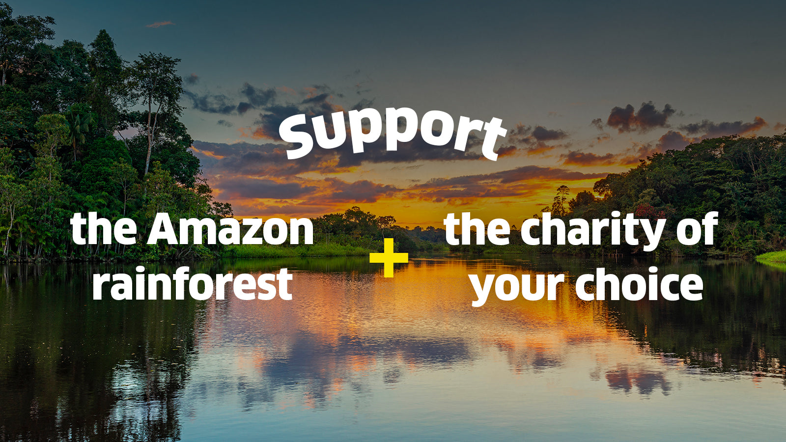 Help Protect and Restore the Amazon Rainforest