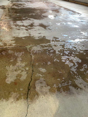 densifying floor before further polishing