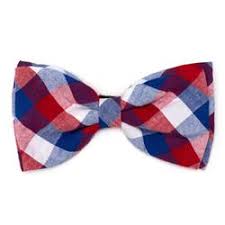 red white and blue bow tie dog collar