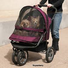 double dog stroller