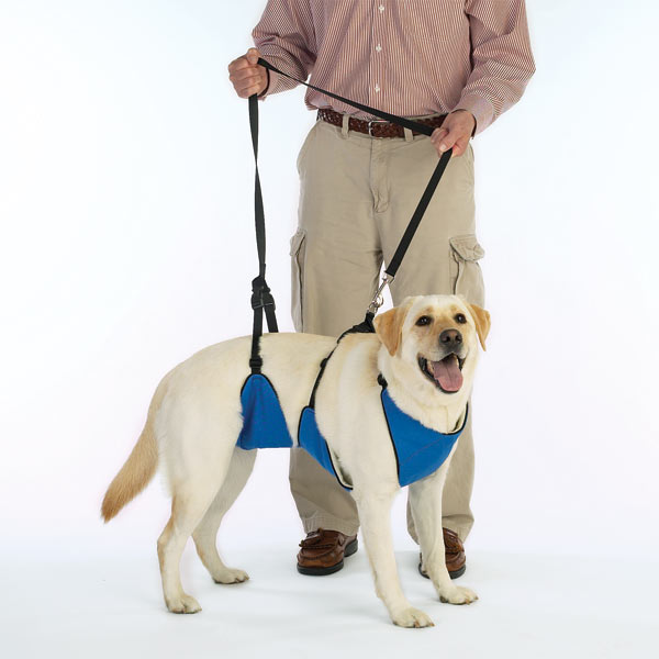 Guardian Gear Lift & Leash 4-In-1 Dog Harness