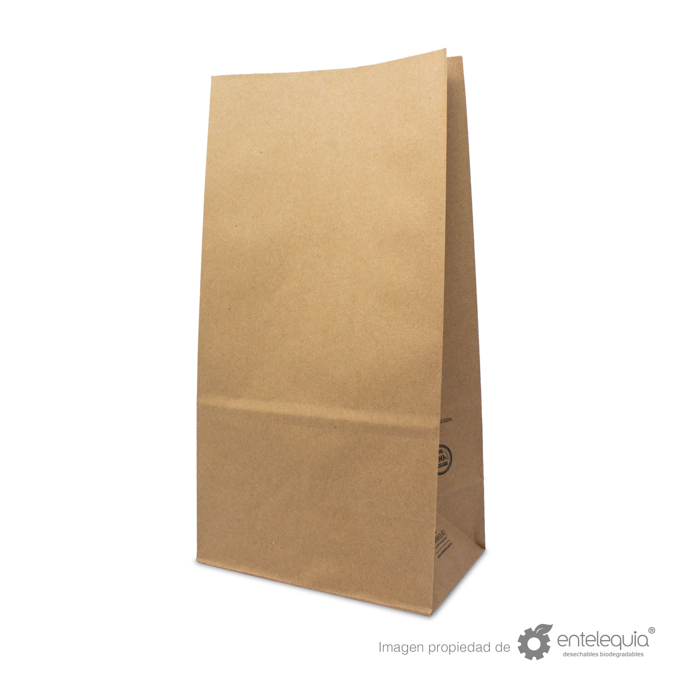 Bolsas de papel kraft #20 – Biodegradables