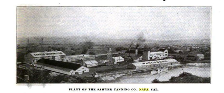 NAPA LEATHERS 1869 SAWYER TANNING CO