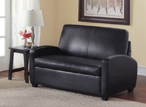 Sofa Sleeper Convertible Couch Loveseat Chair Recliner Futon Black Twin Bed Guest