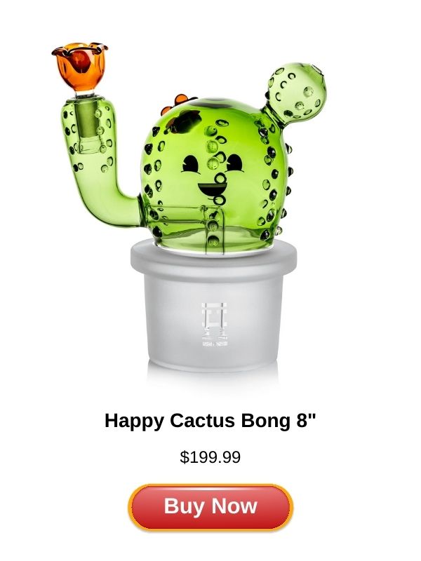 Happy Cactus Bong 8"