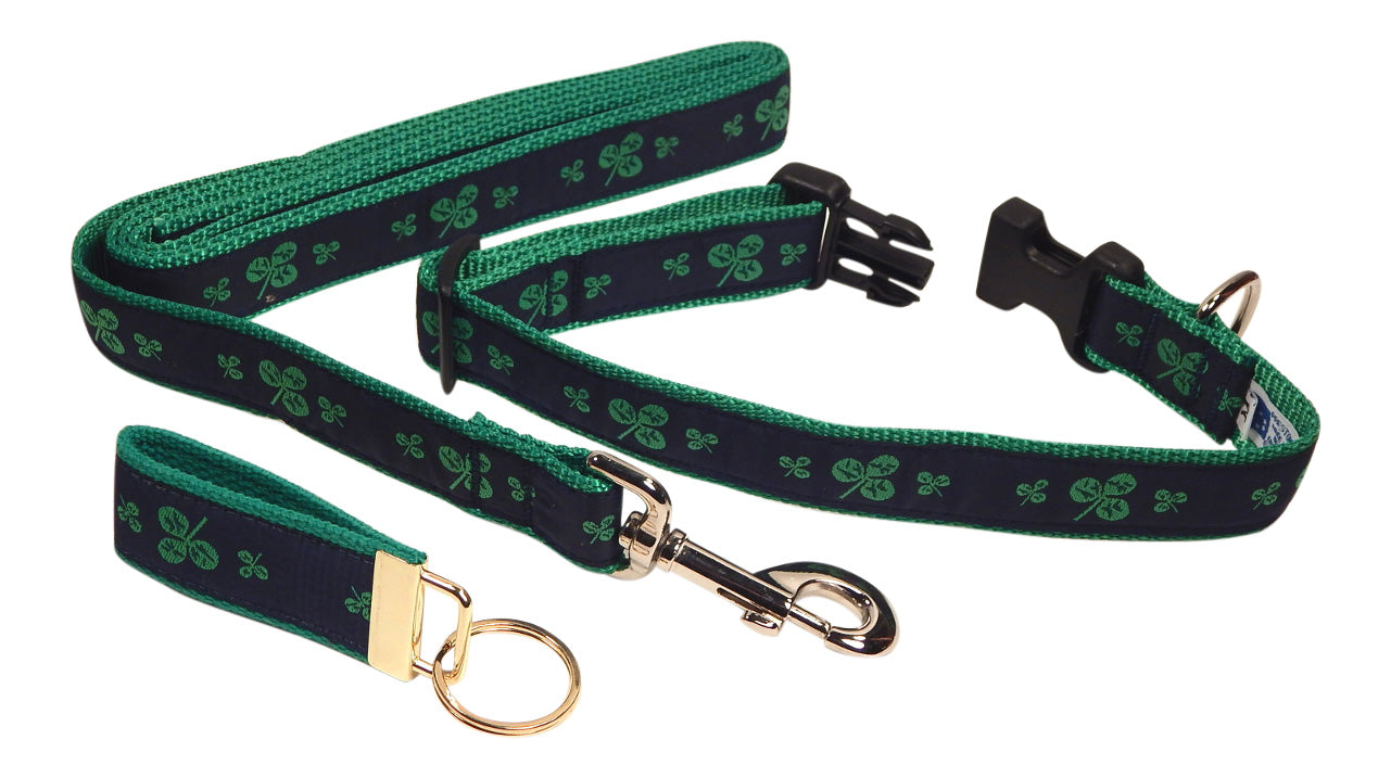 matching dog collar and leash