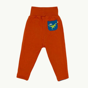 Gently Worn Frugi reversible dino joggers size 3-4 years