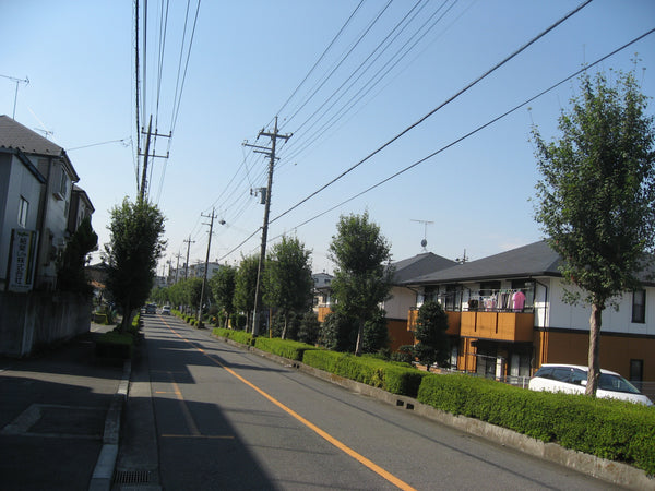 晴れた日の日本の住宅街の風景写真、並木道と整然と配置された家々、静かな通りに駐車している車と電線が空に線を描いている、平和で日常的な都市生活の一コマ。どこかにキジバトが映っています。