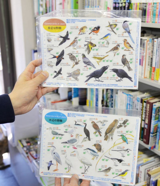 日本鳥類保護連盟　バード ピンズ26種　ピンバッジ