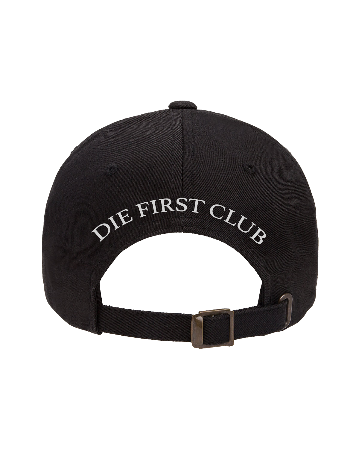 Download IF I DIE FIRST - DFC Embroidered Hat | Official Dark Medicine