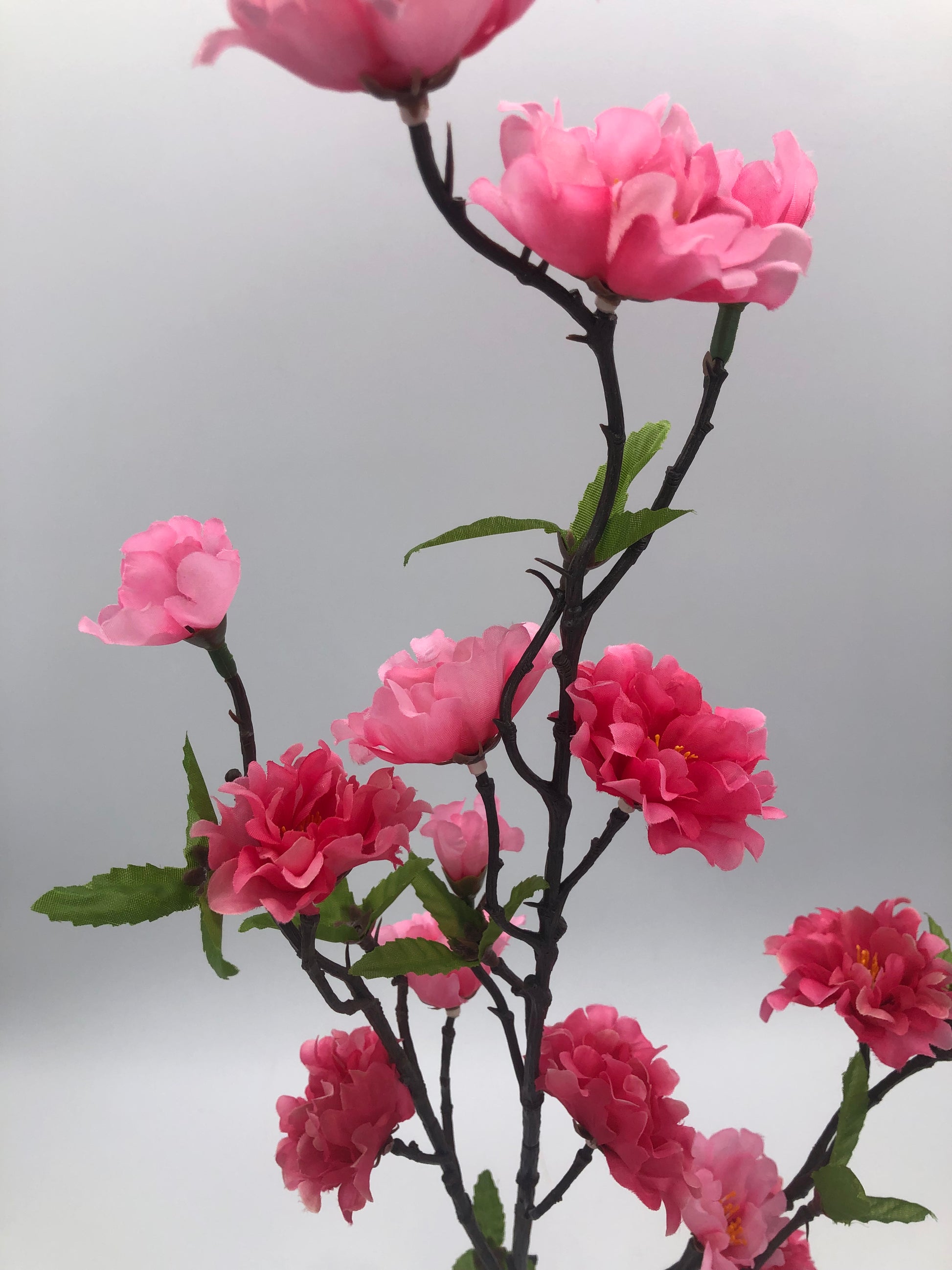 Flor de Almendro rosa – 