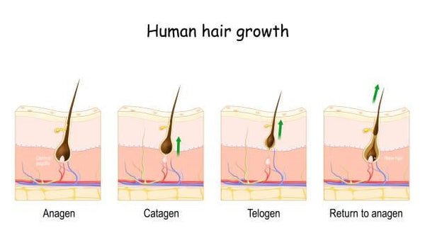 red light therapy for hair growth