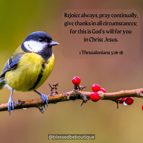 “Rejoice always, pray continually, give thanks in all circumstances; for this is God’s will for you in Christ Jesus.” ~1 Thessalonians 5:16-18