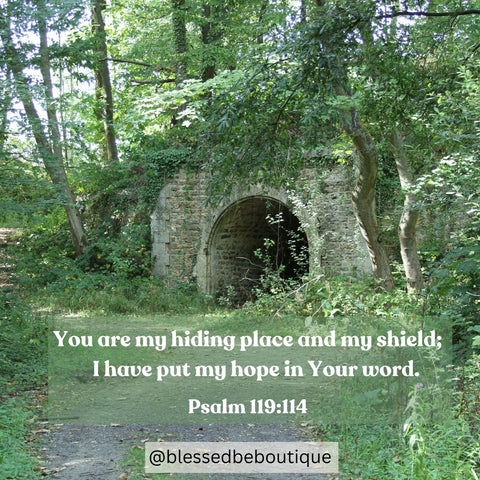 Image of a tunny surrounded by plants with the words "you are my hiding place and my shield; I have put my hope in your word" Psalm 119:114