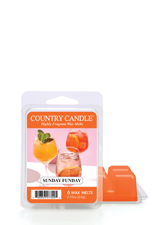 Country Harvest Wax Melts by Candlecopia®, 2 Pack