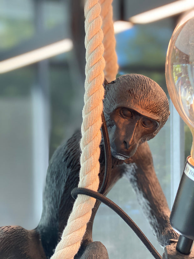 monkey pendant light