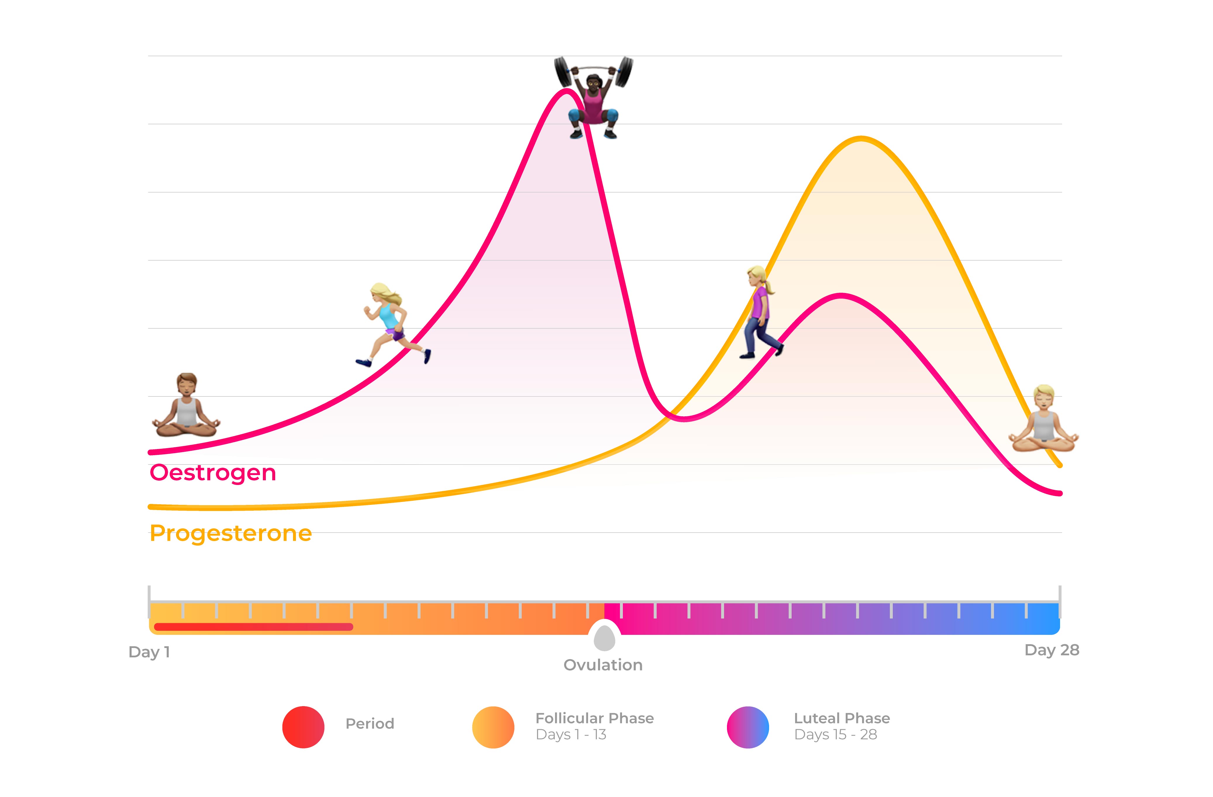 how menstrual cycle affects performance graph