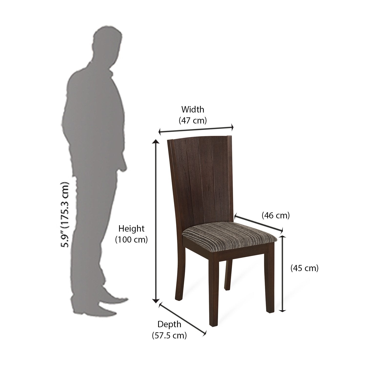 Buy Nilkamal Brighton Dining Chair Online Nilkamal Furniture