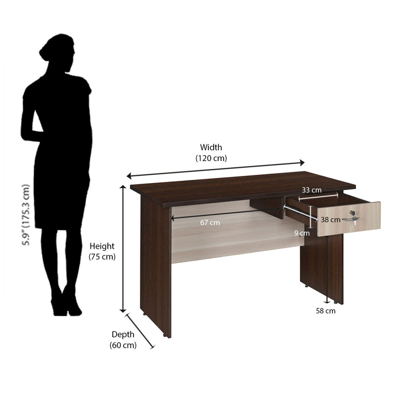 Nilkamal Enzo Office 4 FT Table (Brown & Clound Ash) - Nilkamal Furniture