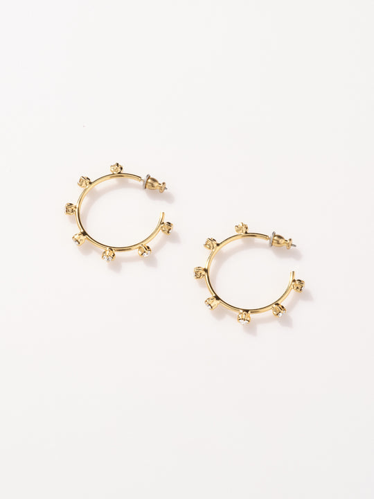 Amanda Hoops-Small