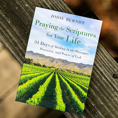 Books on prayer - Praying the Scriptures for Your Life