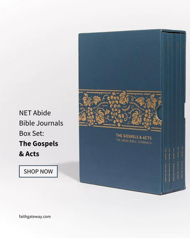 Journal through the gospels