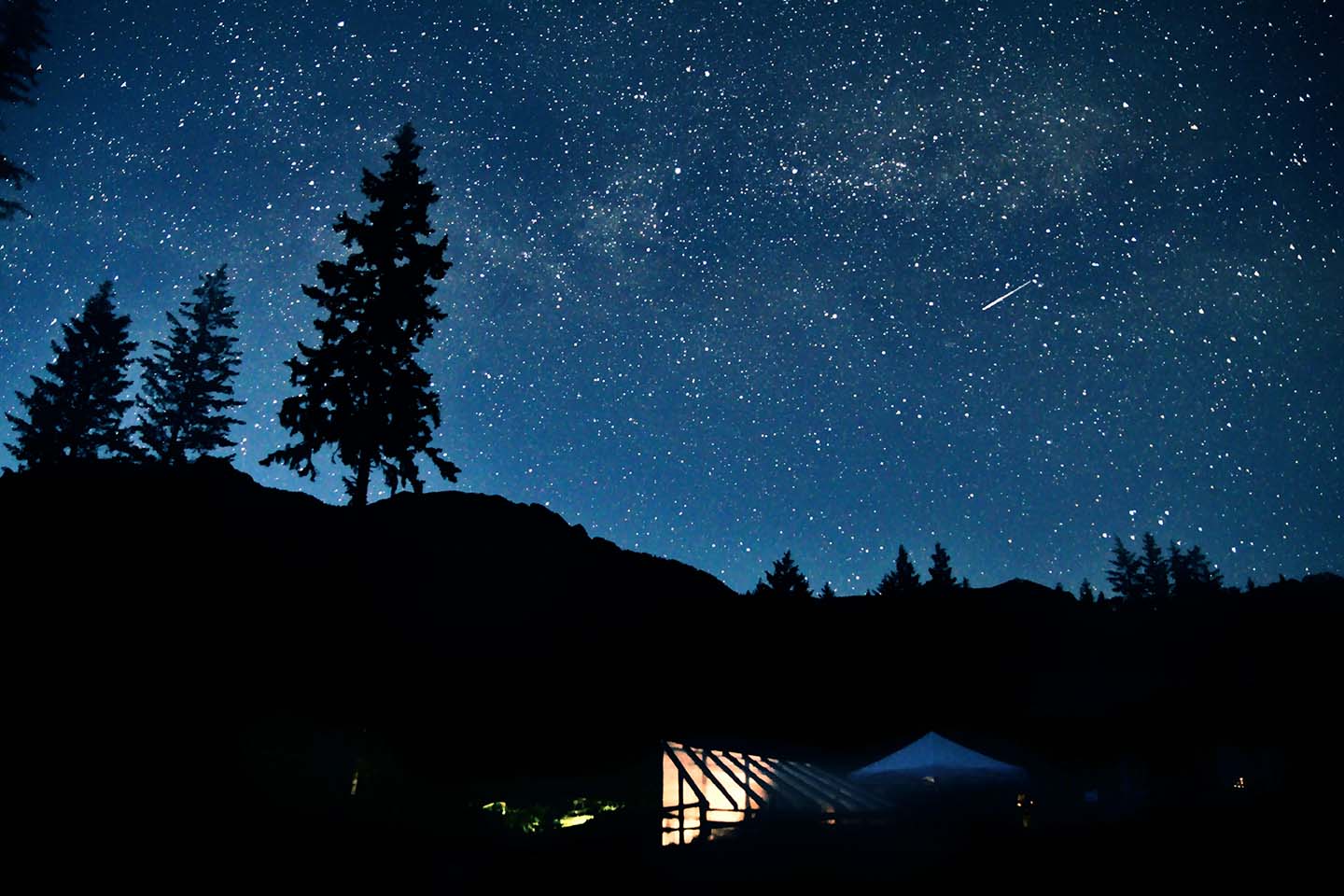 Silhouette of mountain and trees under starry sky