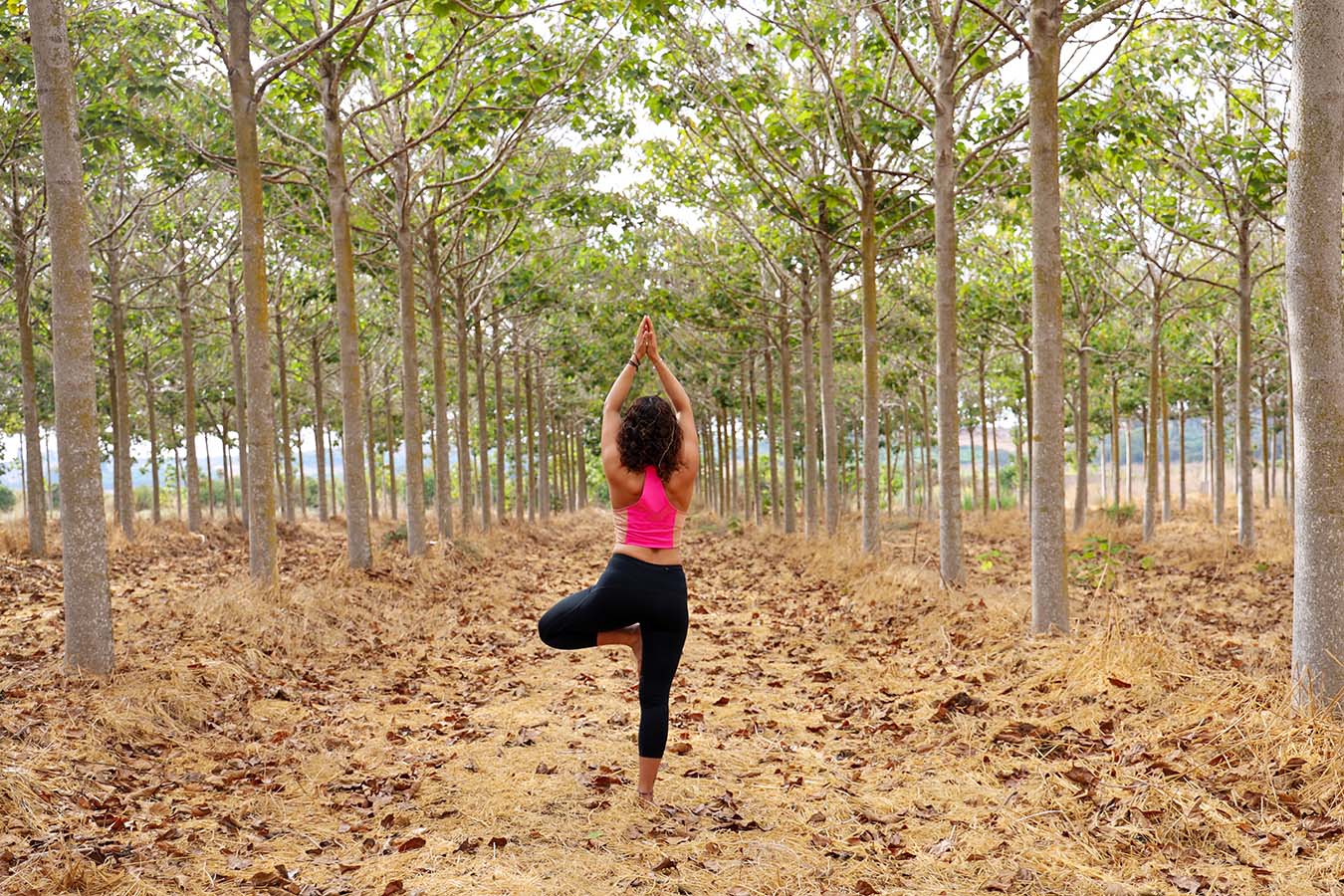 woman in the middle of trees doing a yoga tree pose