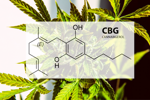 What is CBG?