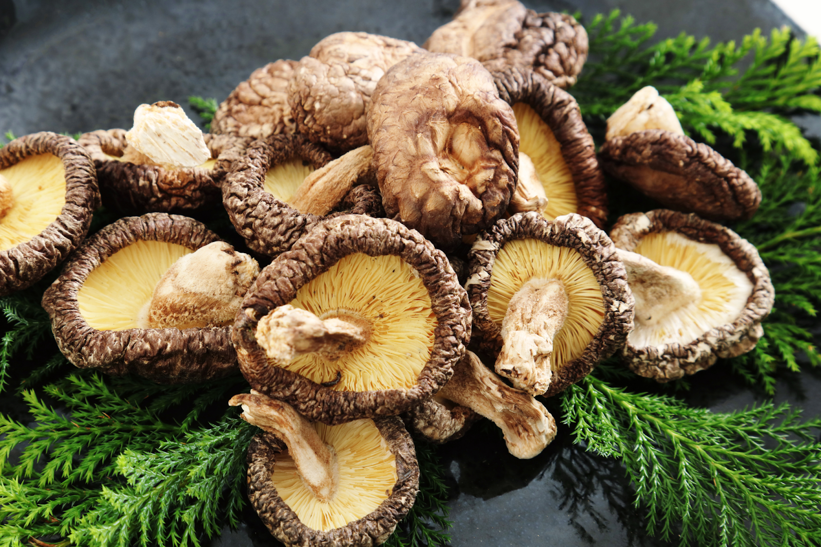 What is Shiitake Mushroom?