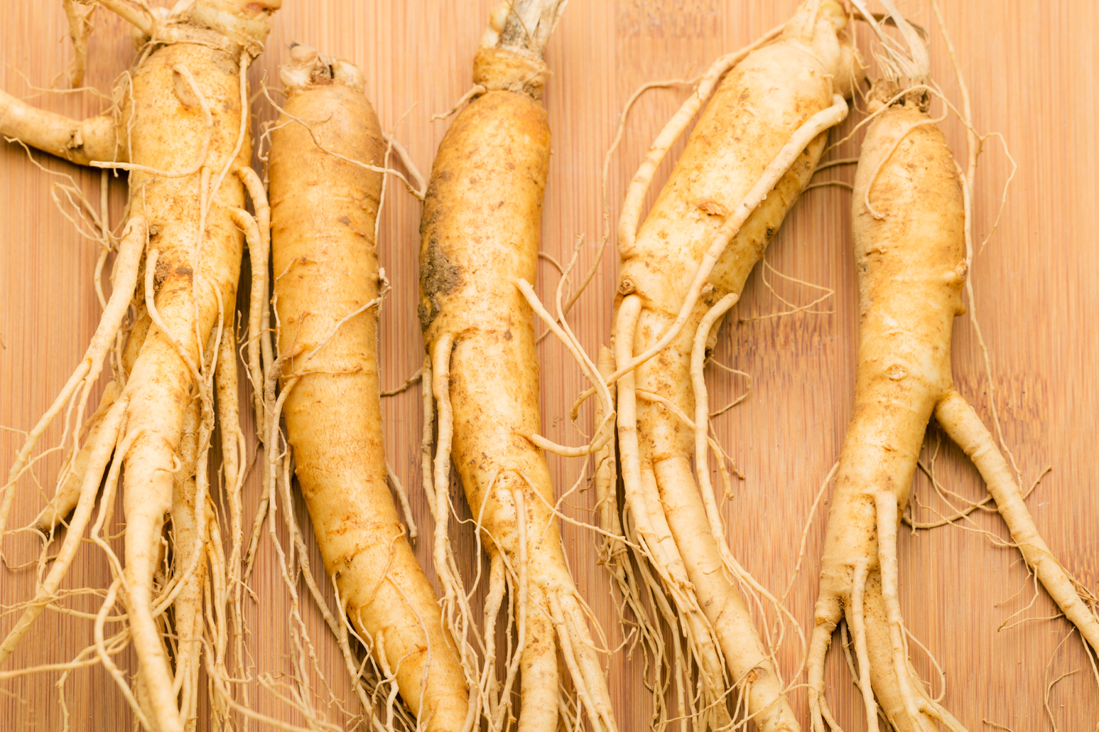 What Is Siberian Ginseng?