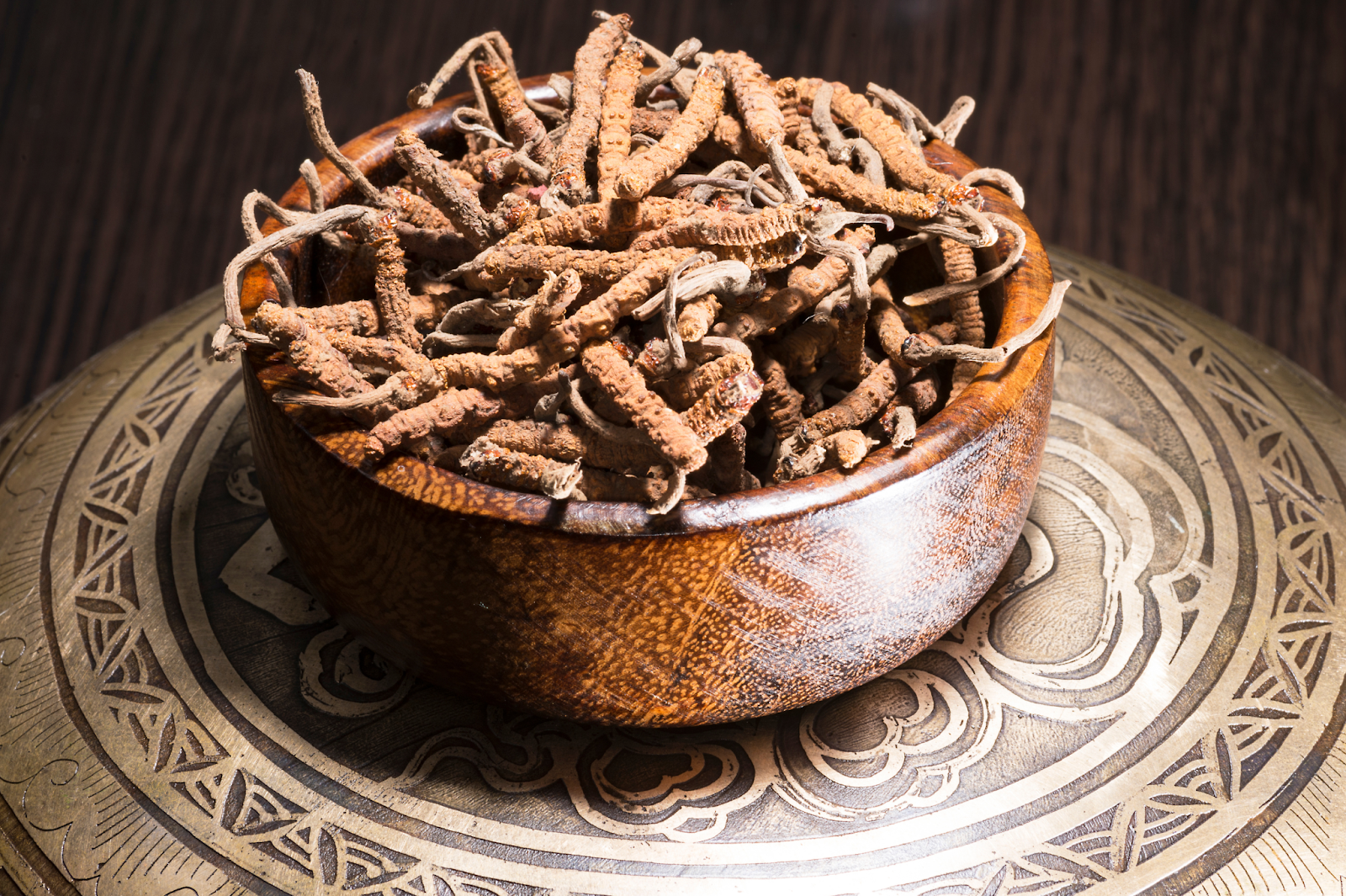 What Is Cordyceps?