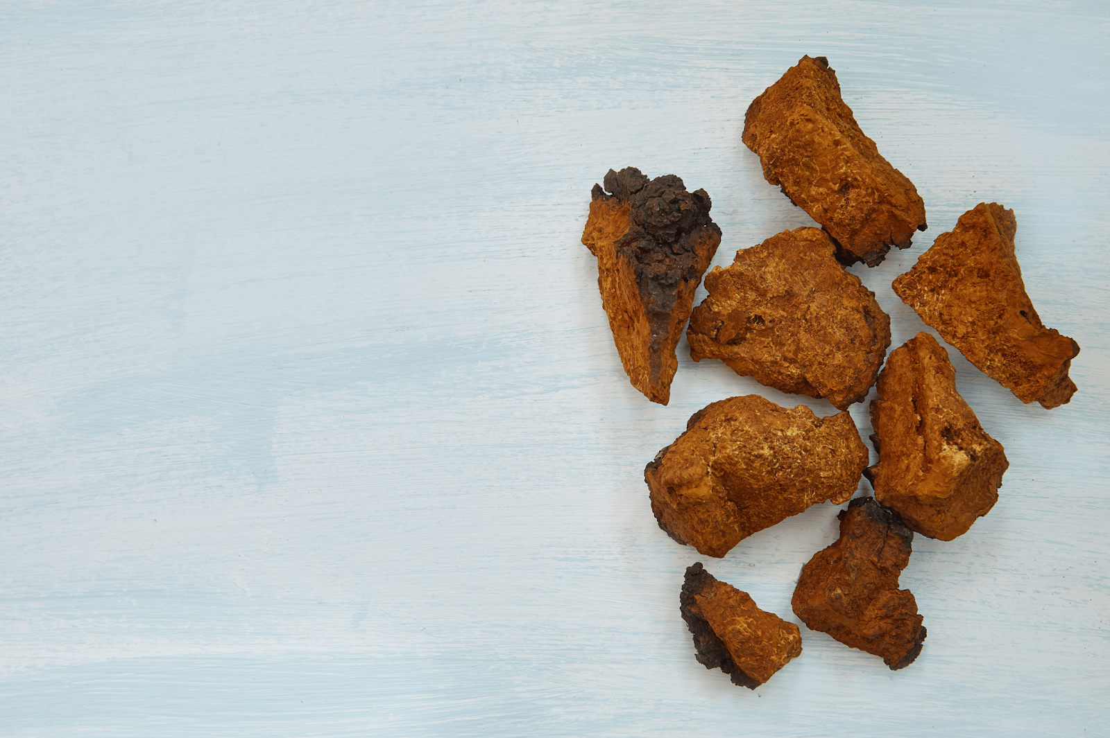 What Are Chaga Mushrooms?