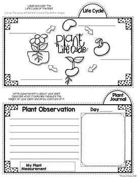 exercise science tab sheet