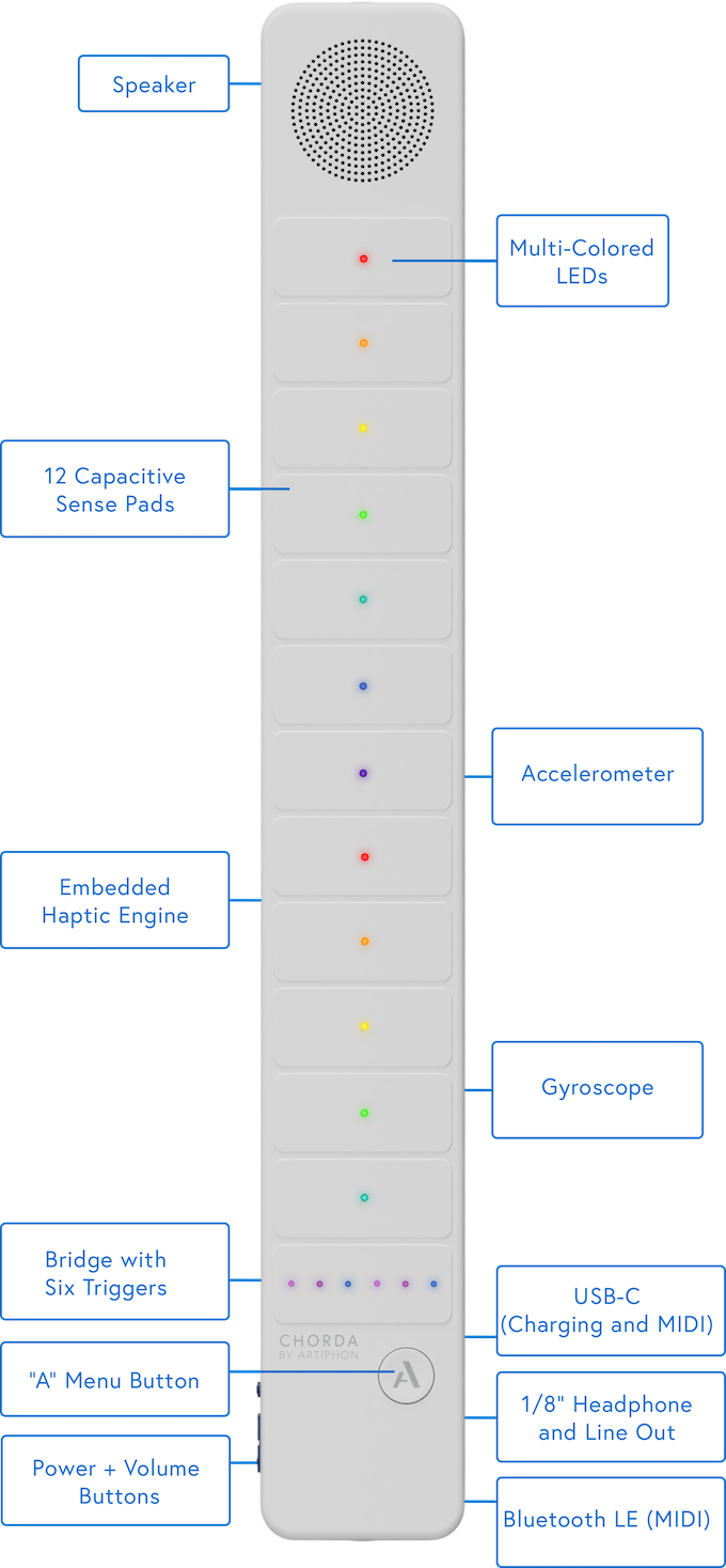 Chorda Features