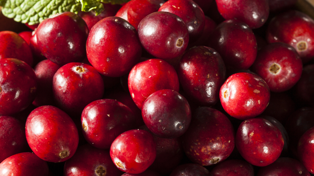 Organic Cranberry 