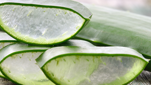 Organic Aloe Vera