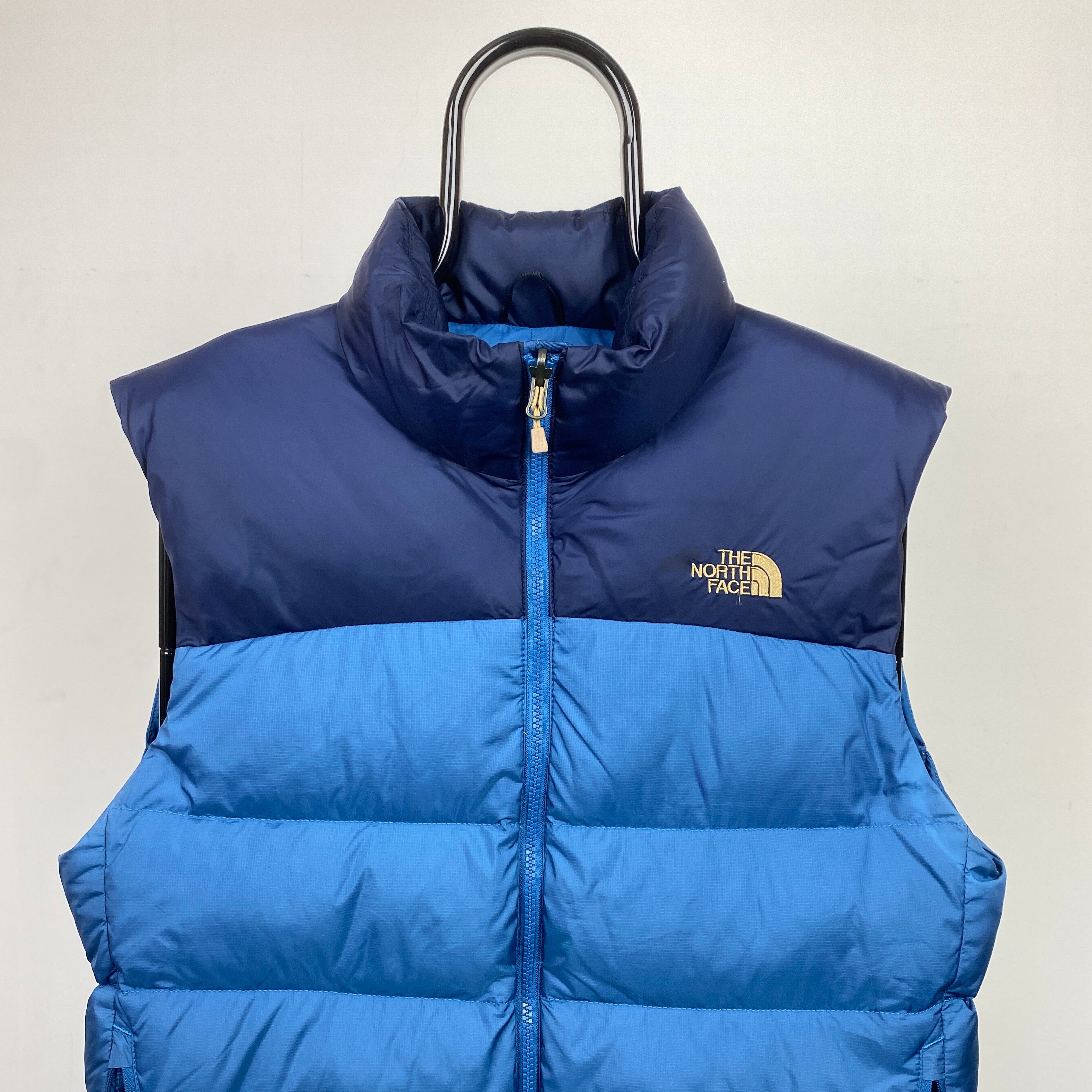 blue north face gilet