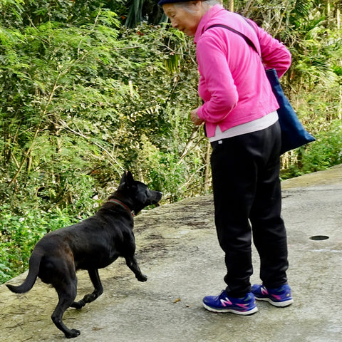 Mom and Dog