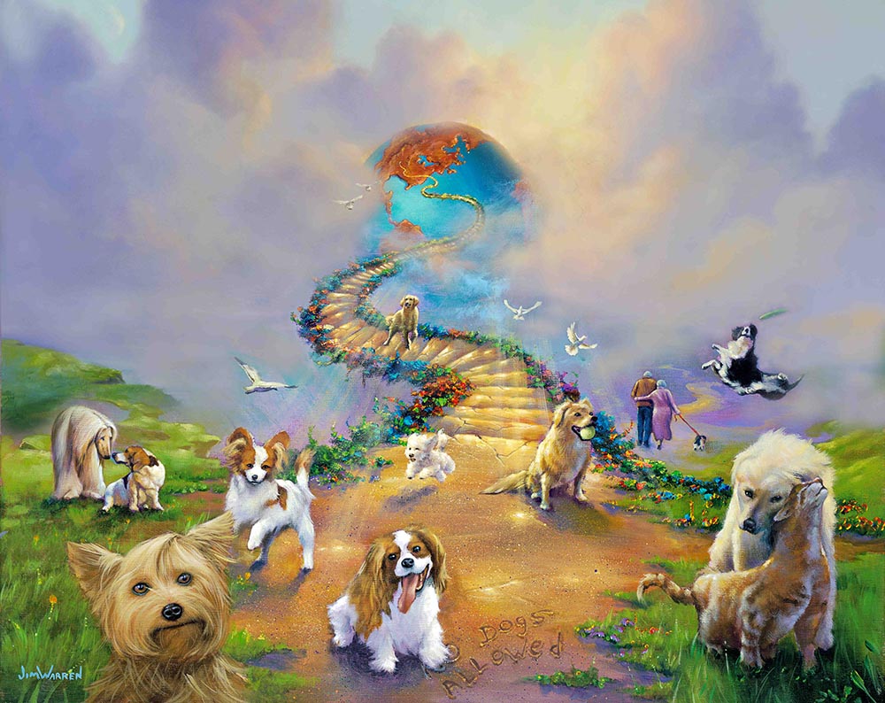 does dogs go to heaven