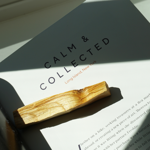 Palo Santo wood stick laying on a book