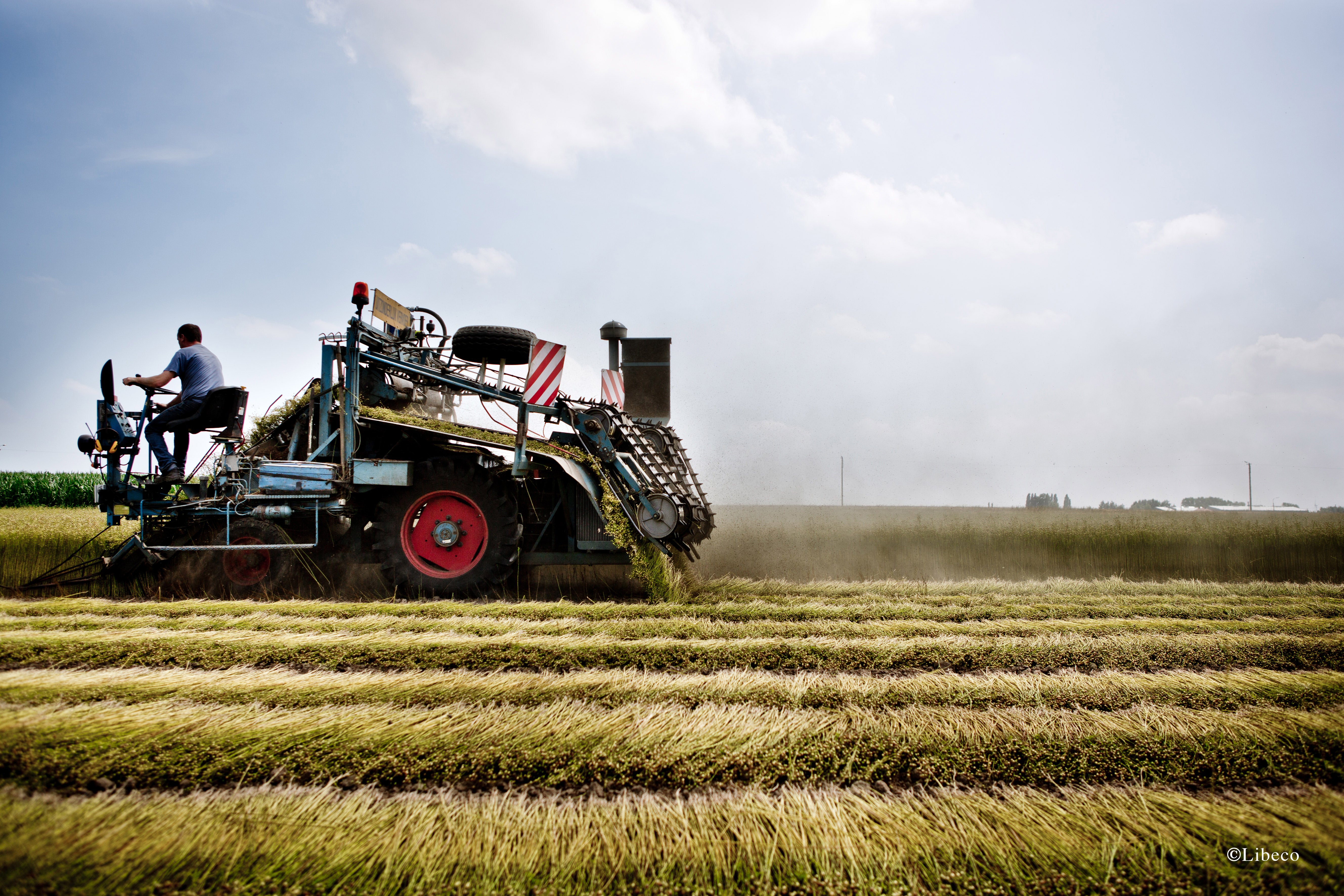 Fields with tractor