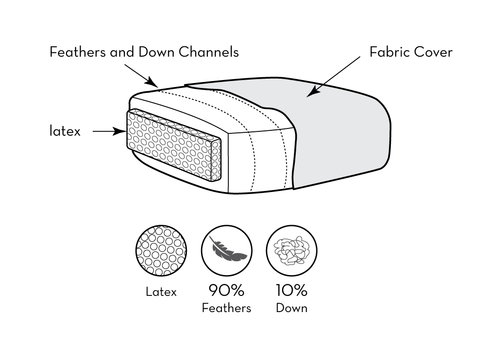 Para Feather Diagram